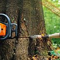 Бензопила цепная STIHL MS 661