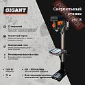 Сверлильный станок GIGANT DP1725